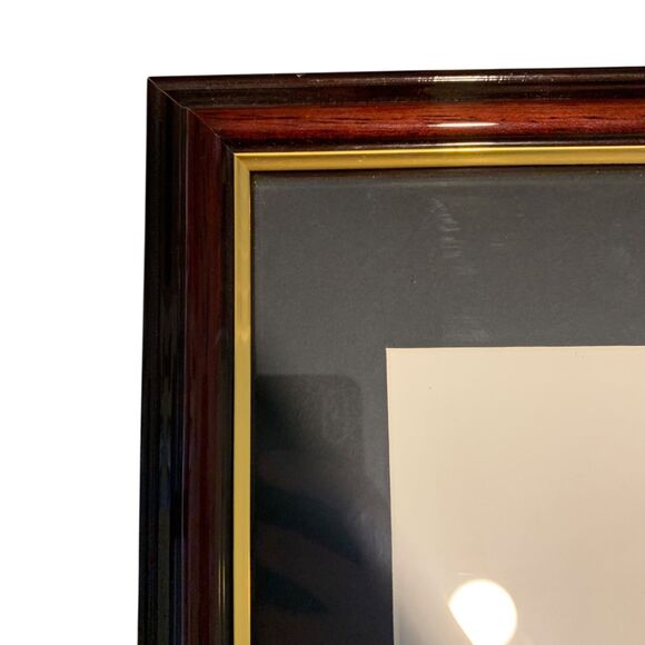 Southern Illinois University Carbondale Official Diploma Frame - Picture 4 of 12